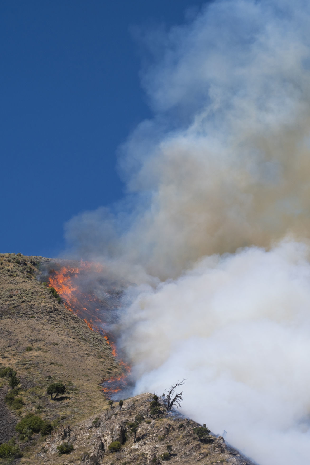 Saddle Butte Fire